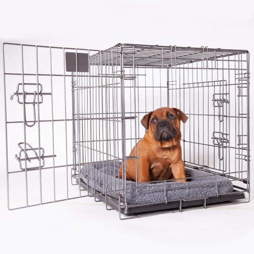 Mobile dog outlet crate